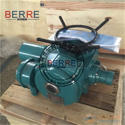 dzw10閥門電動執(zhí)行器生產廠家