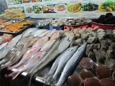 水產(chǎn)魚類市場全景 價(jià)格、行情、展會(huì)與供應(yīng)鏈解析